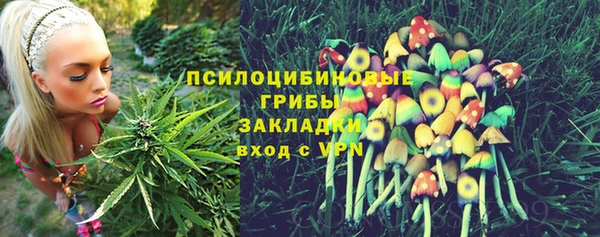 синтетический гашиш Алексин