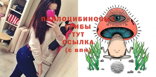 марихуана Абаза