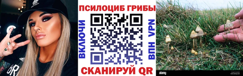 hydra онион  где купить наркотик  Абаза  Галлюциногенные грибы Cubensis 